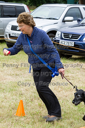 Grove_and_Rufford_Terrier_and_Lurcher_Show_16th_July_2016_198