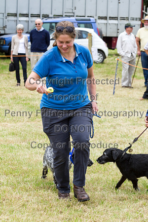 Grove_and_Rufford_Terrier_and_Lurcher_Show_16th_July_2016_200