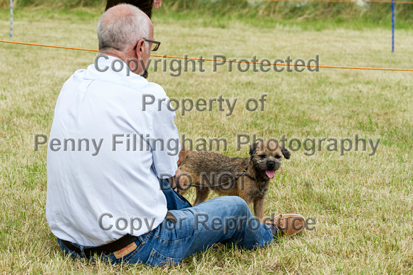 Grove_and_Rufford_Terrier_and_Lurcher_Show_16th_July_2016_076