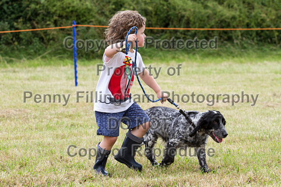 Grove_and_Rufford_Terrier_and_Lurcher_Show_16th_July_2016_096