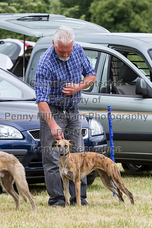 Grove_and_Rufford_Terrier_and_Lurcher_Show_16th_July_2016_150
