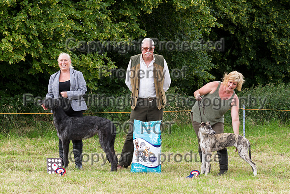 Grove_and_Rufford_Terrier_and_Lurcher_Show_16th_July_2016_141
