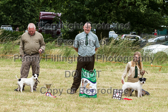 Grove_and_Rufford_Terrier_and_Lurcher_Show_16th_July_2016_170