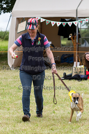 Grove_and_Rufford_Terrier_and_Lurcher_Show_16th_July_2016_189