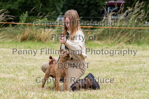 Grove_and_Rufford_Terrier_and_Lurcher_Show_16th_July_2016_066