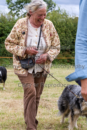 Grove_and_Rufford_Terrier_and_Lurcher_Show_16th_July_2016_221