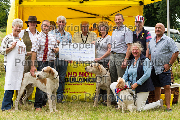 Grove_and_Rufford_Terrier_and_Lurcher_Show_16th_July_2016_177