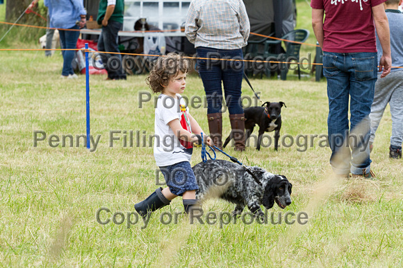 Grove_and_Rufford_Terrier_and_Lurcher_Show_16th_July_2016_042