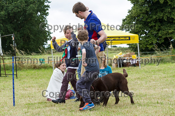Grove_and_Rufford_Terrier_and_Lurcher_Show_16th_July_2016_204