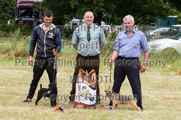 Grove_and_Rufford_Terrier_and_Lurcher_Show_16th_July_2016_143