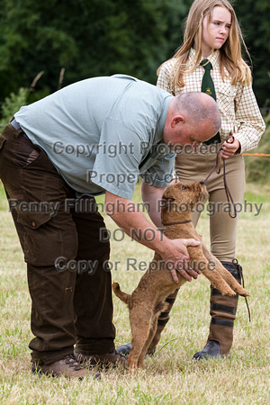 Grove_and_Rufford_Terrier_and_Lurcher_Show_16th_July_2016_065