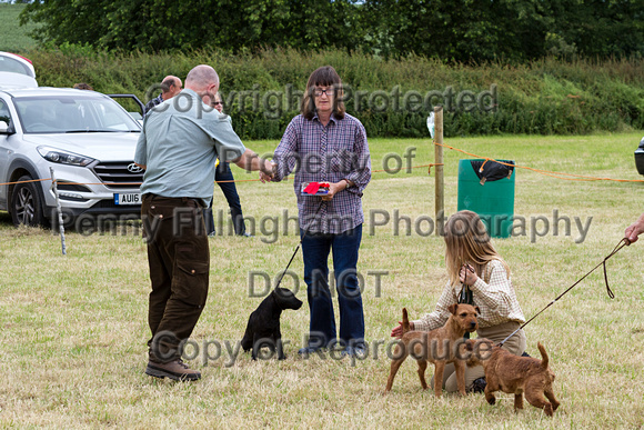 Grove_and_Rufford_Terrier_and_Lurcher_Show_16th_July_2016_108