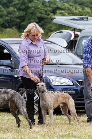 Grove_and_Rufford_Terrier_and_Lurcher_Show_16th_July_2016_149