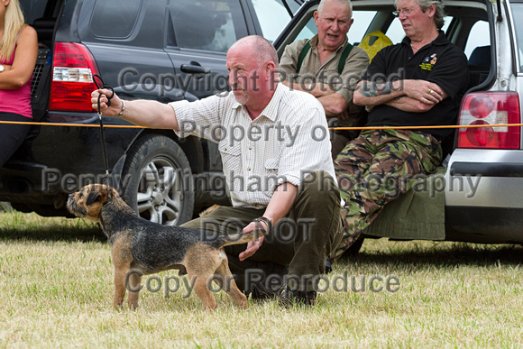Grove_and_Rufford_Terrier_and_Lurcher_Show_16th_July_2016_045