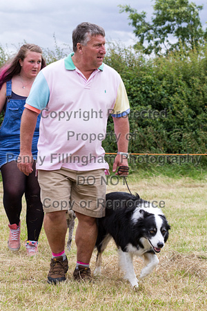Grove_and_Rufford_Terrier_and_Lurcher_Show_16th_July_2016_222