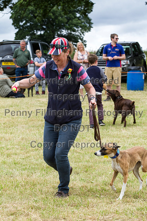 Grove_and_Rufford_Terrier_and_Lurcher_Show_16th_July_2016_203