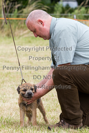 Grove_and_Rufford_Terrier_and_Lurcher_Show_16th_July_2016_026