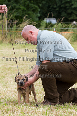 Grove_and_Rufford_Terrier_and_Lurcher_Show_16th_July_2016_025