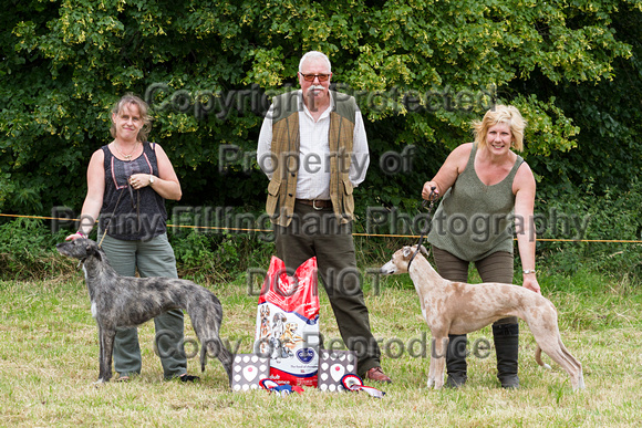 Grove_and_Rufford_Terrier_and_Lurcher_Show_16th_July_2016_171