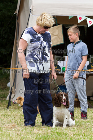 Grove_and_Rufford_Terrier_and_Lurcher_Show_16th_July_2016_035