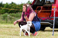 Grove_and_Rufford_Terrier_and_Lurcher_Show_16th_July_2016_009