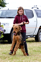 Grove_and_Rufford_Terrier_and_Lurcher_Show_16th_July_2016_003