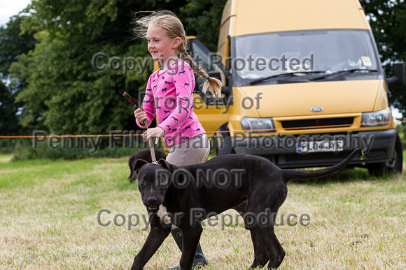 Grove_and_Rufford_Terrier_and_Lurcher_Show_16th_July_2016_073