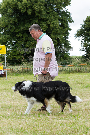 Grove_and_Rufford_Terrier_and_Lurcher_Show_16th_July_2016_211