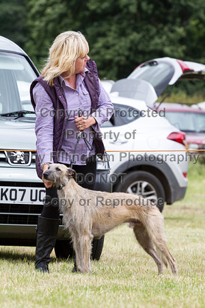 Grove_and_Rufford_Terrier_and_Lurcher_Show_16th_July_2016_032