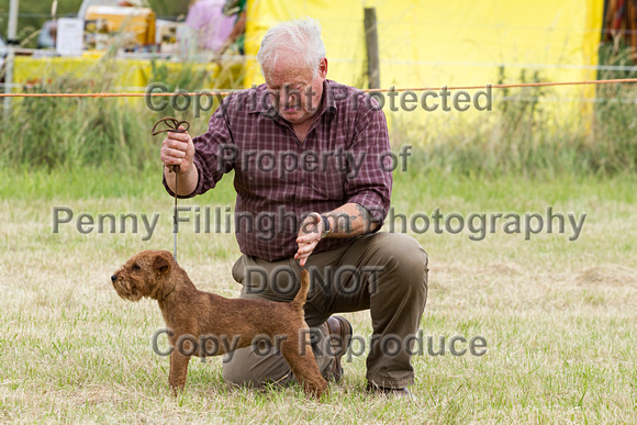 Grove_and_Rufford_Terrier_and_Lurcher_Show_16th_July_2016_125