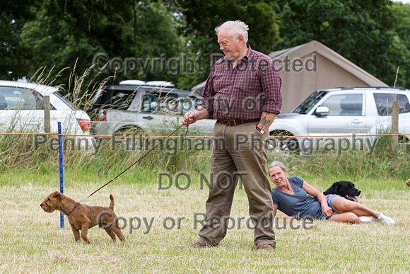 Grove_and_Rufford_Terrier_and_Lurcher_Show_16th_July_2016_062