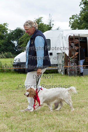 Grove_and_Rufford_Terrier_and_Lurcher_Show_16th_July_2016_209