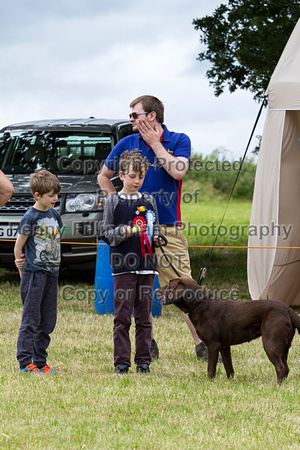 Grove_and_Rufford_Terrier_and_Lurcher_Show_16th_July_2016_185
