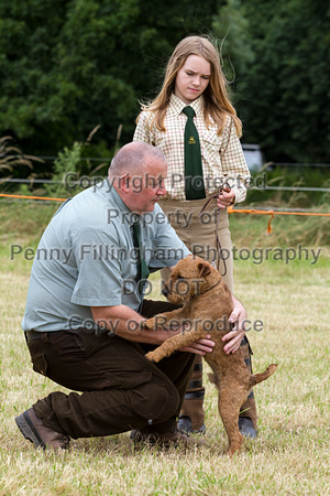 Grove_and_Rufford_Terrier_and_Lurcher_Show_16th_July_2016_063