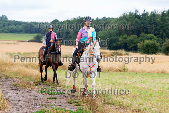Grove_and_Rufford_Ride_Westwoodside_31st_July_2022_192