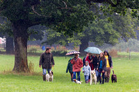 Grove_and_Rufford_Show_Misc_19th_July_2014.001