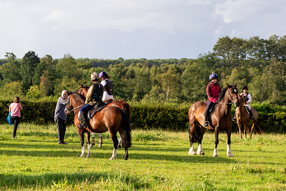 Grove_and_Rufford_Ride_Edwinstowe_6th_Aug _2019_0009