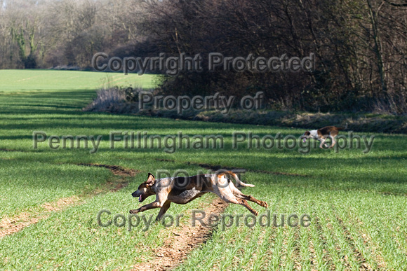 Grove_and_Rufford_Firbeck_11th_March_2014.145