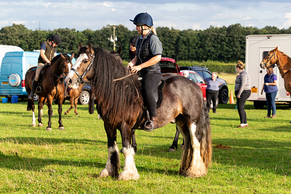 Grove_and_Rufford_Ride_Edwinstowe_6th_Aug _2019_0012