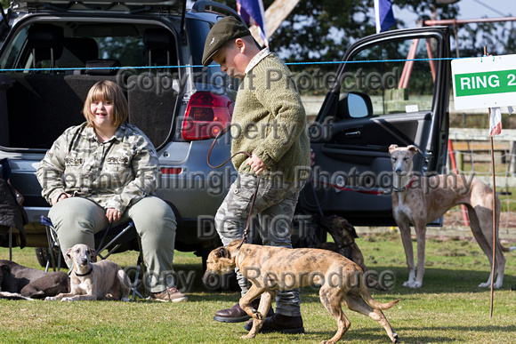 DL&LD_South_Wingfield_Child_Handler_4th_Oct_2015_003
