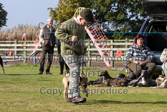 DL&LD_South_Wingfield_Child_Handler_4th_Oct_2015_011