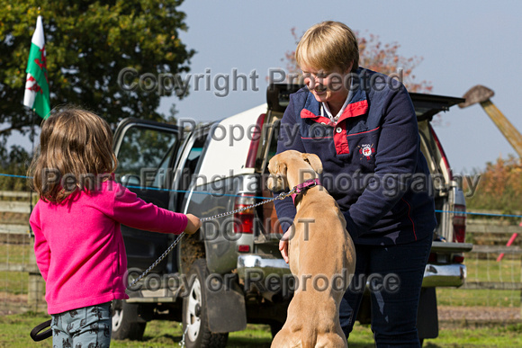 DL&LD_South_Wingfield_Child_Handler_4th_Oct_2015_015