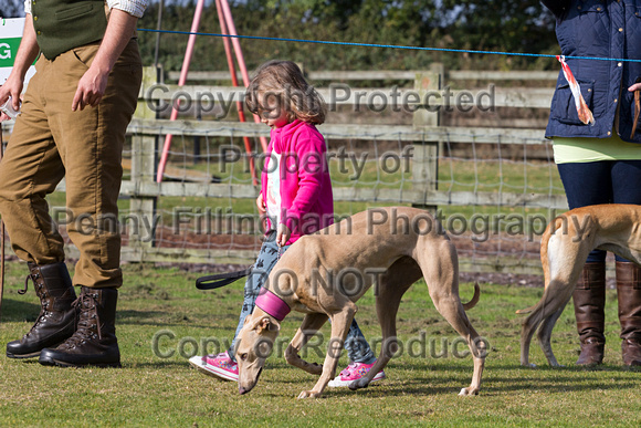 DL&LD_South_Wingfield_Child_Handler_4th_Oct_2015_005