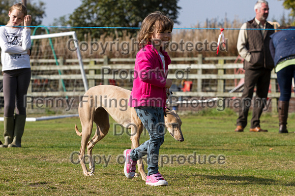 DL&LD_South_Wingfield_Child_Handler_4th_Oct_2015_013