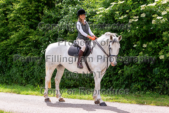 Grove_and_Rufford_Ride_Blyth_12th_June_2022_0342