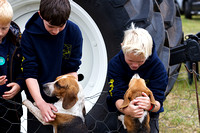 Flintham_Ploughing_Match_Hounds_016