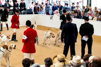 Festival_of_Hunting_Hounds_18th_July_2018_014