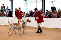 Festival_of_Hunting_Hounds_18th_July_2018_015