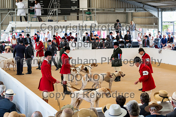 Festival_of_Hunting_Hounds_18th_July_2018_009