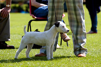 Belvoir_Open_Day_Terriers_2nd_June_2013_.001